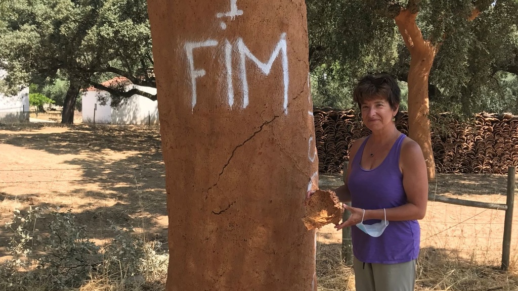 Katina Lillios with a recently harvested cork tree in the Alentejo region of Portugal