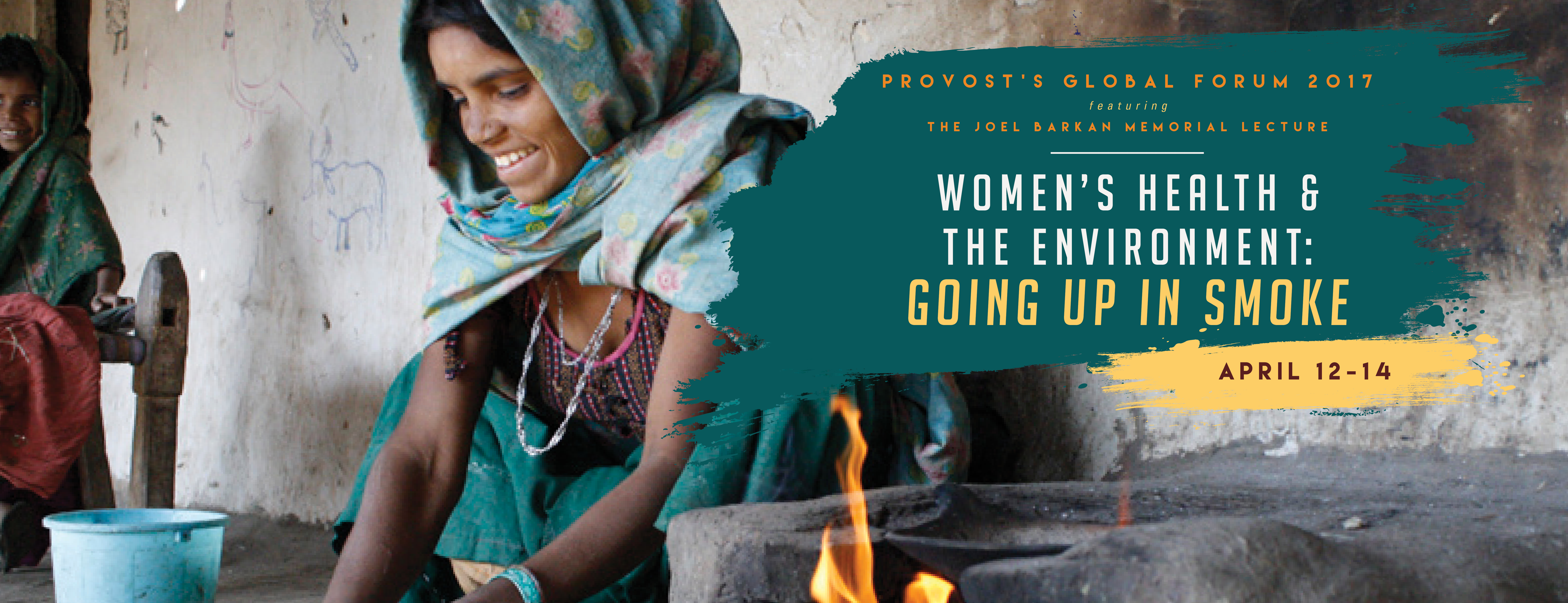 Women's Health and the Environment: Going up in Smoke, Provost's Global Forum
