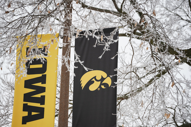 ice on tree limbs in front of Iowa banner