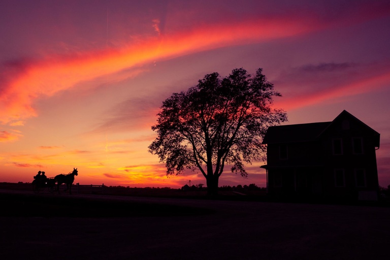 an_amish_couple_returning_home_in_a_horse-buggy_0