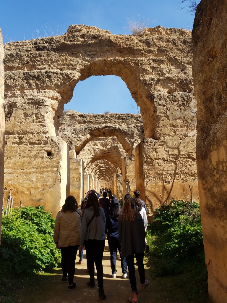 These ruins of the royal stables at Meknes used to hold 12,000 Arabian horses. Because why not.