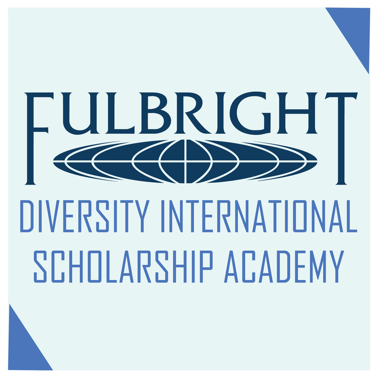 diversity scholarship academy
