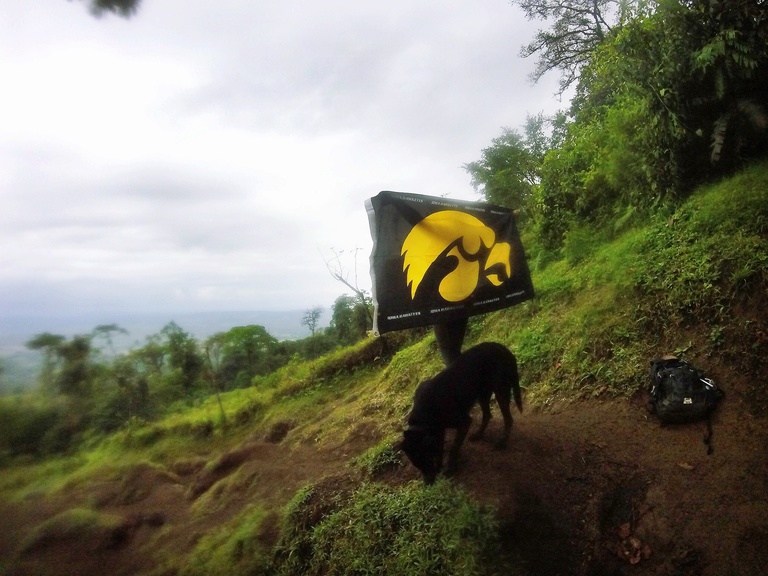 Showing some Hawkeye pride at the top of a cloud forest mountain with a furry friend. 