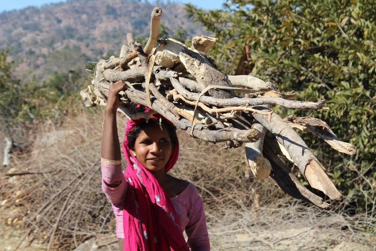 young_woman_carrying_fuelwood