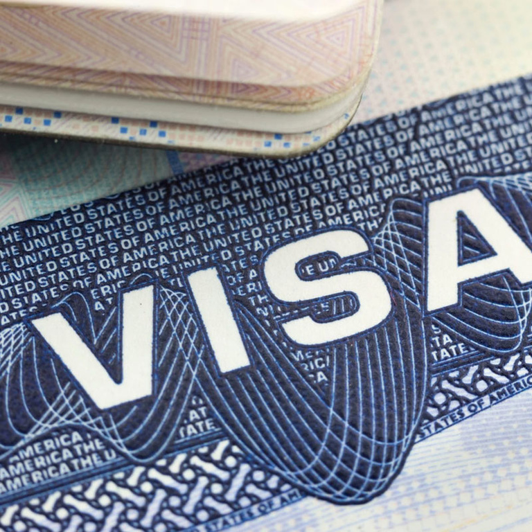 close up of visa document