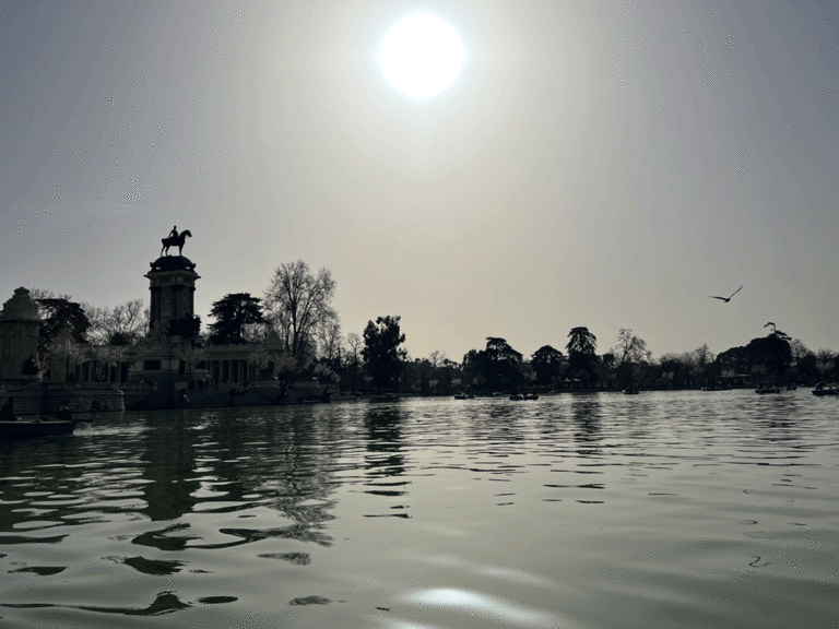 a black and white image of a lake in Parque de El Retiro 