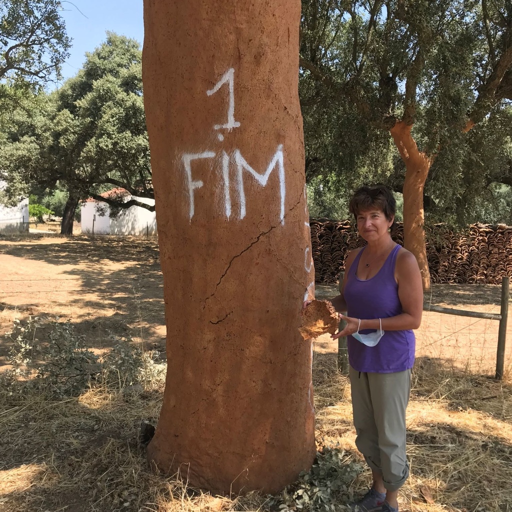 Katina Lillios with a recently harvested cork tree in the Alentejo region of Portugal