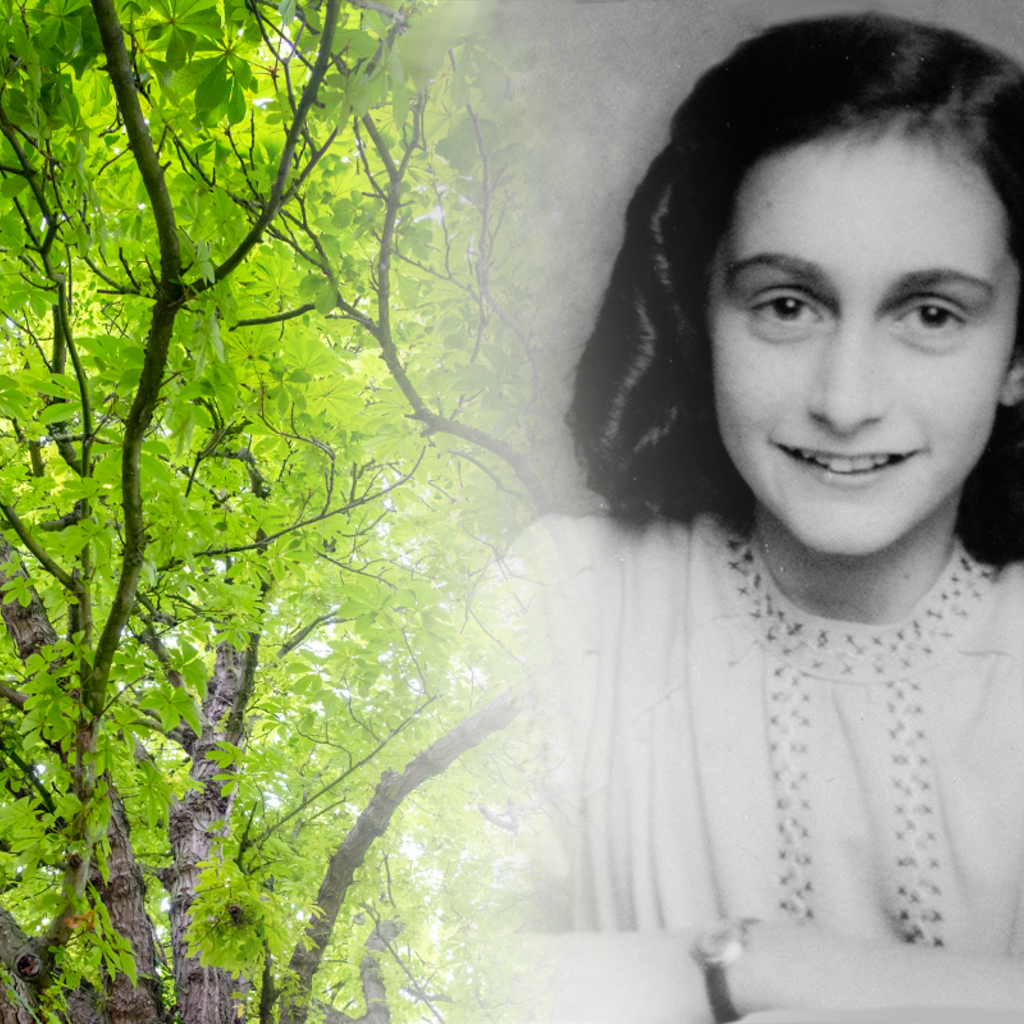 Anne Frank Tree Planting Ceremony promotional image