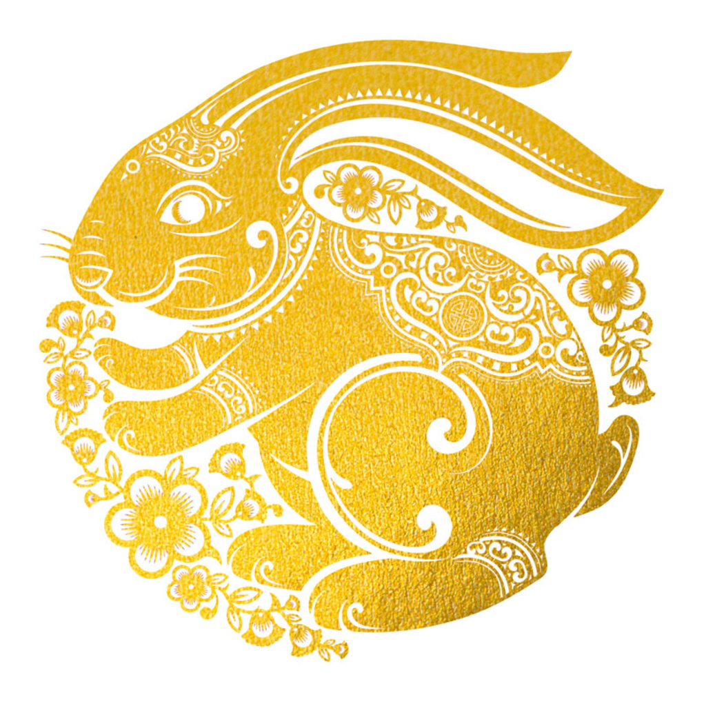 Lunar New Year Celebration promotional image