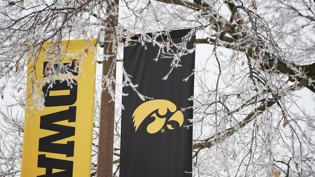 ice on tree limbs in front of Iowa banner